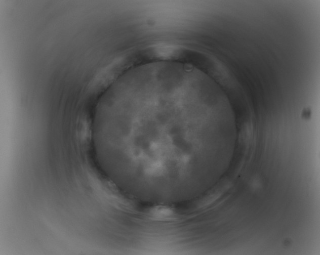 X0000114130651200910151546