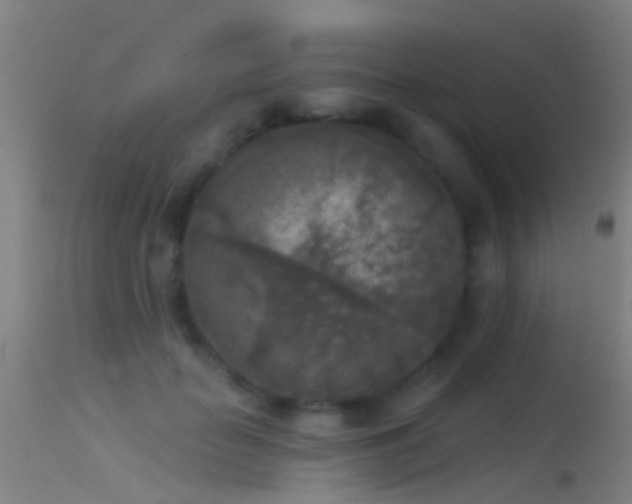 X0000114130653200910151546