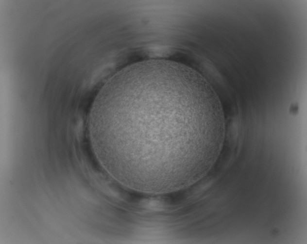 X0000114130655200910151546