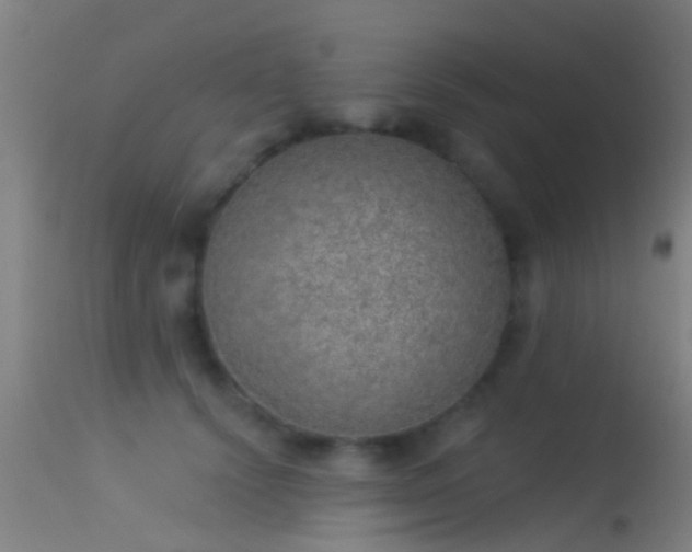 X0000114130656200910151546