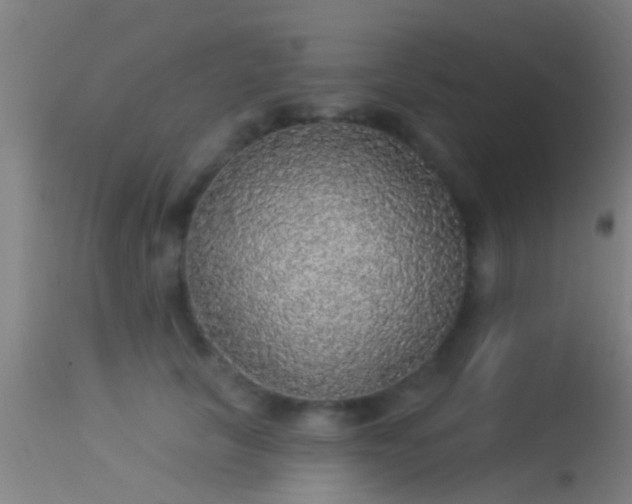 X0000114130657200910151546