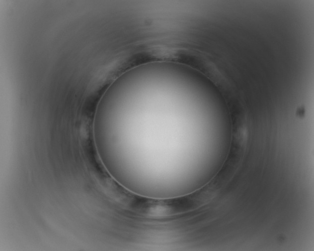 X0000114130658200910151546