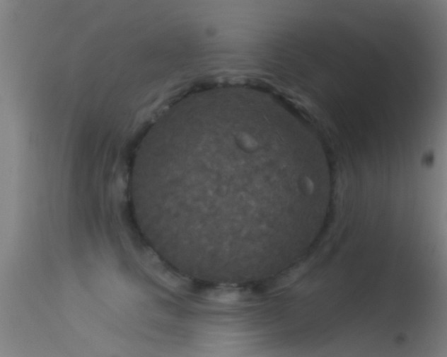 X0000114130661200910151546