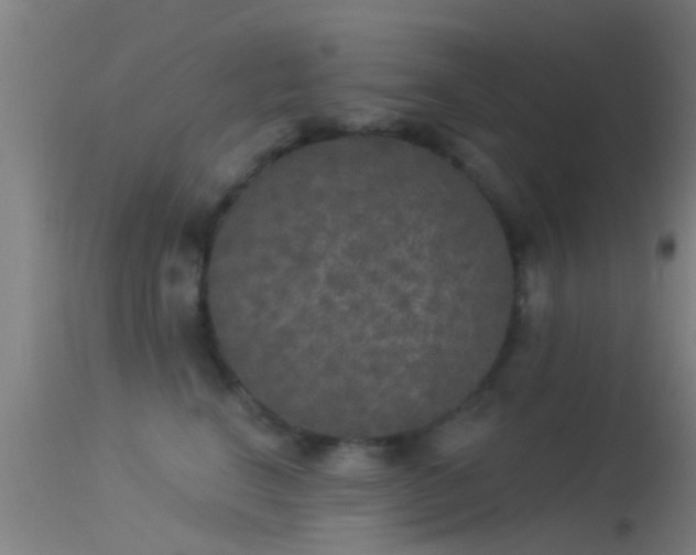 X0000114130664200910151547