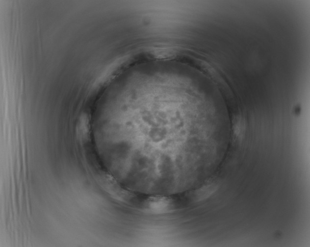 X0000114130667200910151547