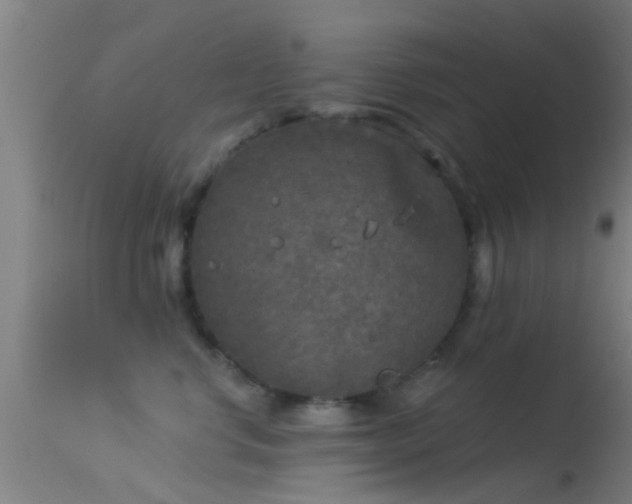 X0000114130668200910151547