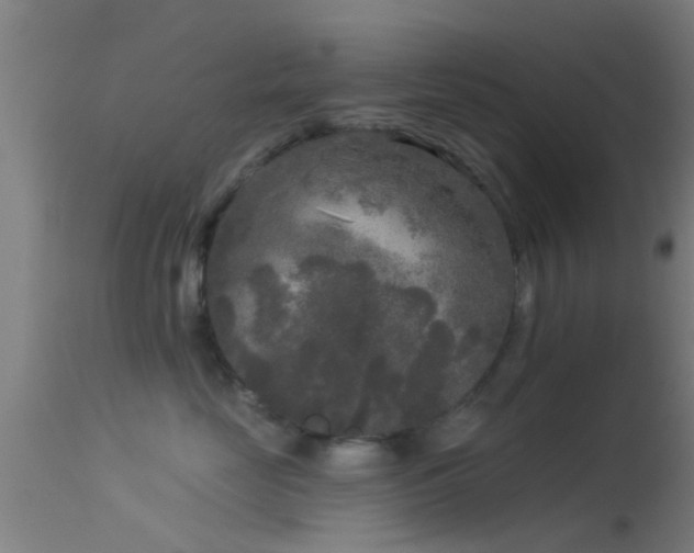 X0000114130669200910151547