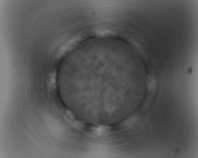 X0000114130670200910151547