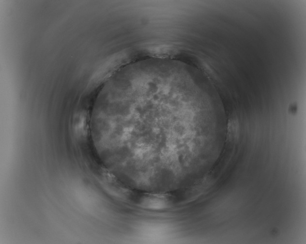 X0000114130671200910151547