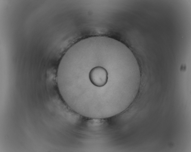 X0000114130672200910151547