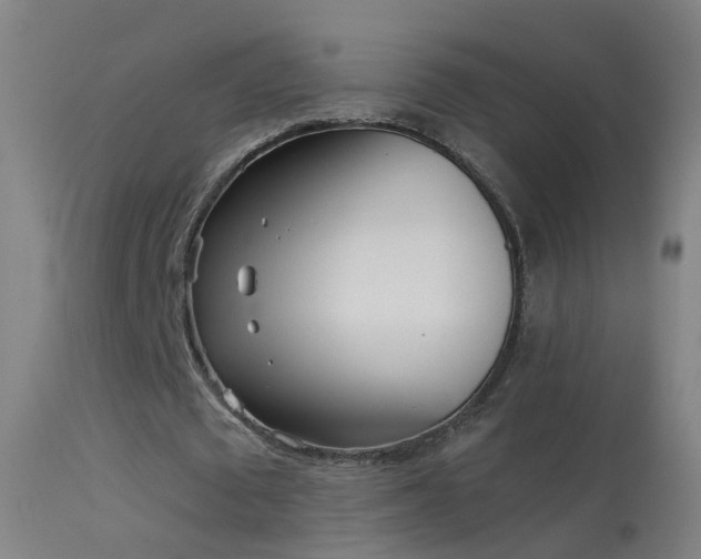 X0000114130673200910151546