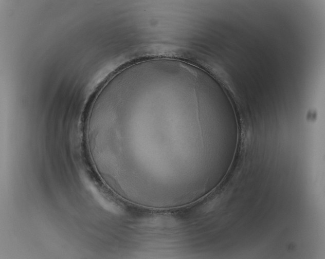 X0000114130674200910151546