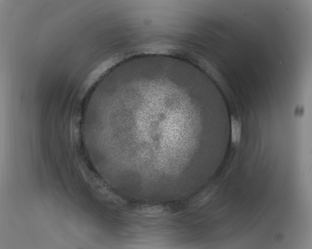 X0000114130675200910151546