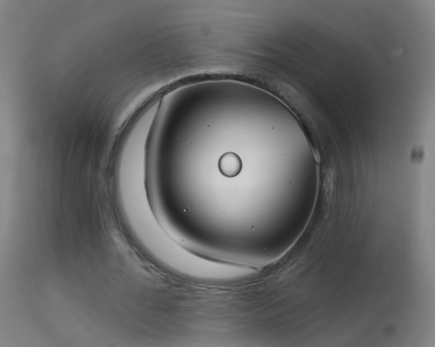 X0000114130676200910151546