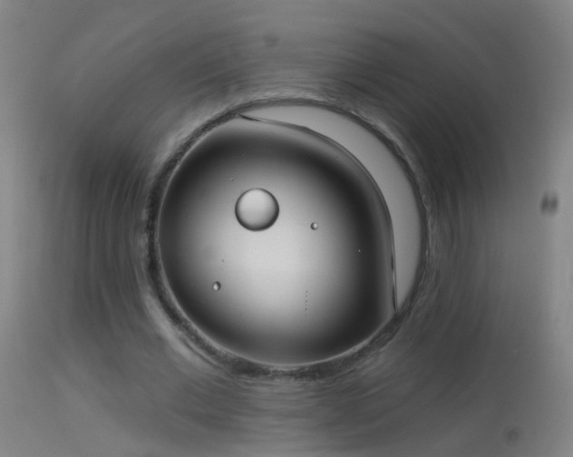 X0000114130677200910151546