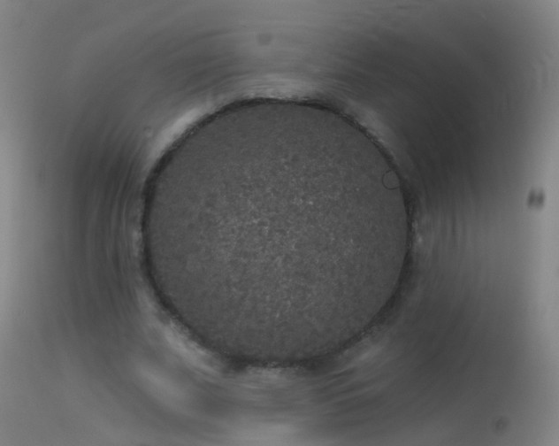 X0000114130679200910151546