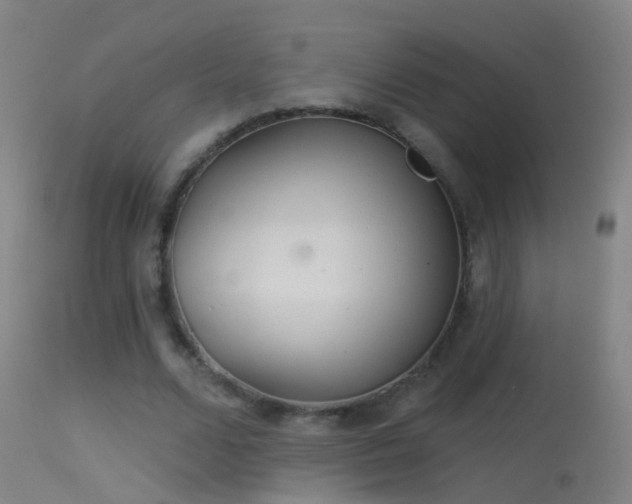 X0000114130680200910151546