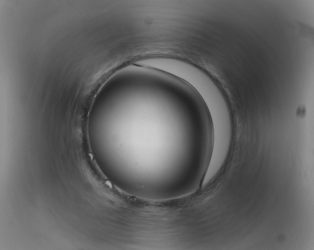 X0000114130681200910151546