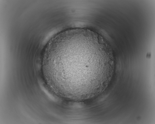 X0000114130683200910151546