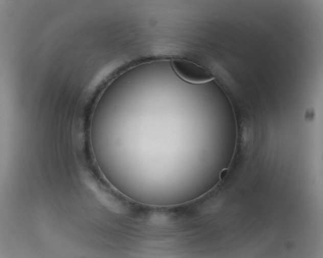 X0000114130684200910151546