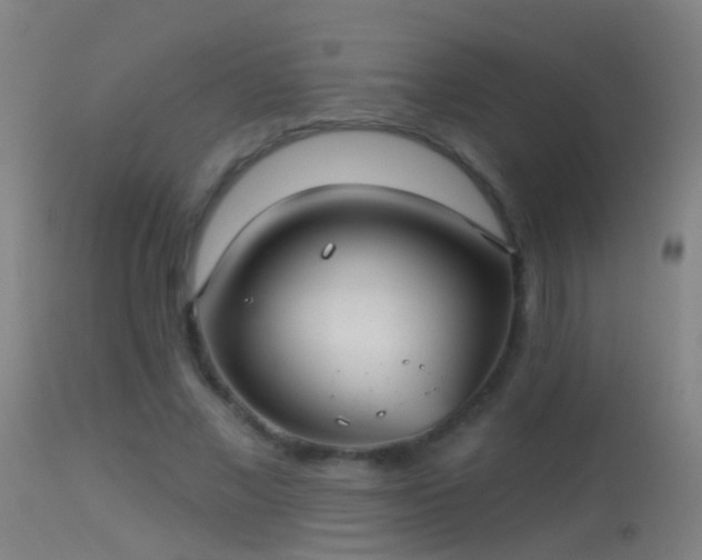 X0000114130685200910151546