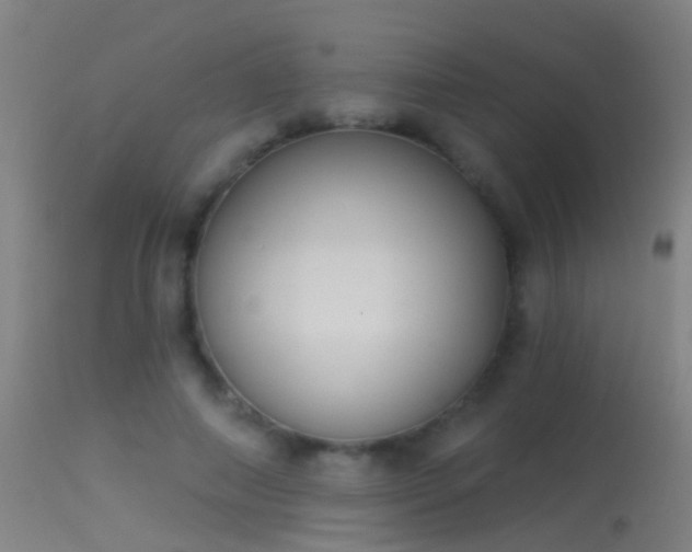 X0000114130690200910151546