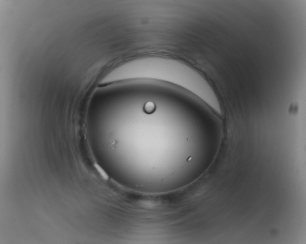 X0000114130693200910151546