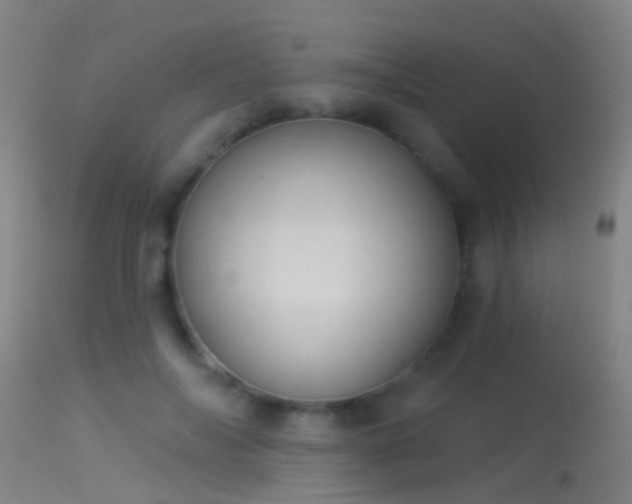 X0000114130694200910151546