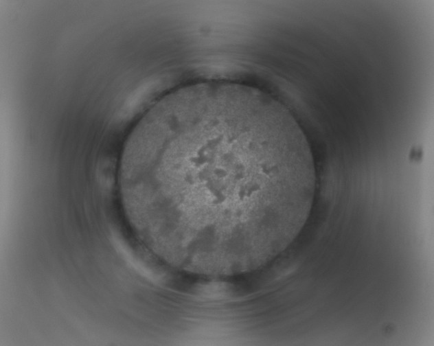 X0000114130695200910151546