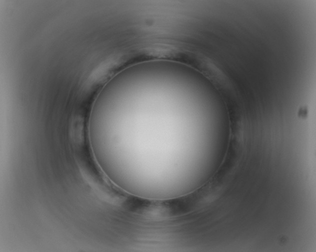 X0000114130696200910151545