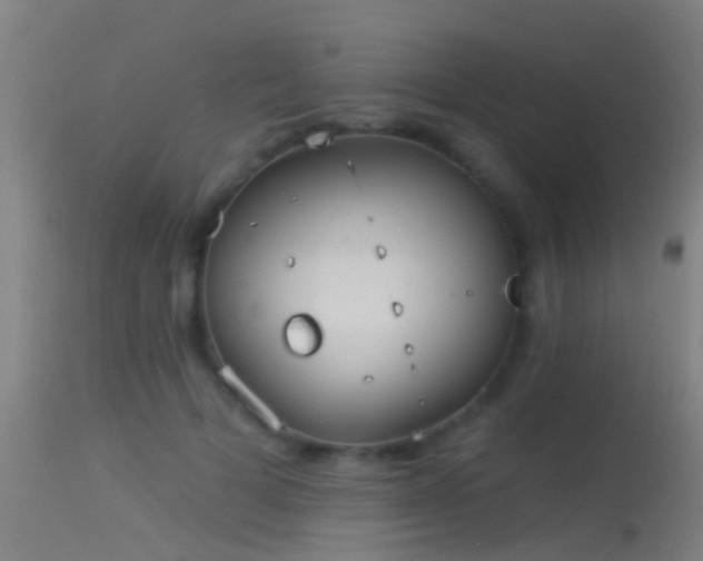 X0000114130697200910151545