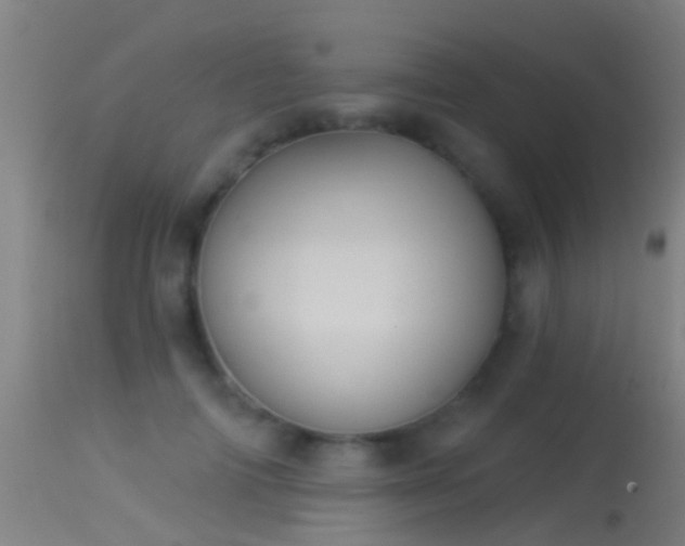 X0000114130698200910151545