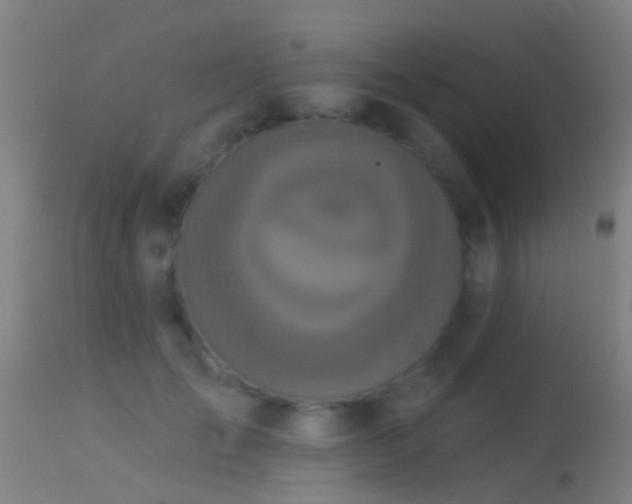 X0000114130701200910151545