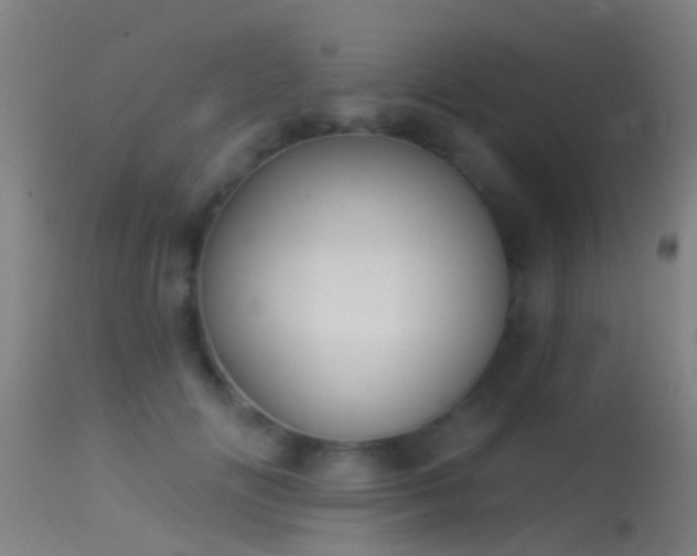 X0000114130702200910151545