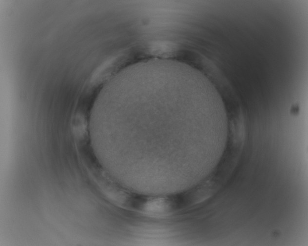 X0000114130705200910151545