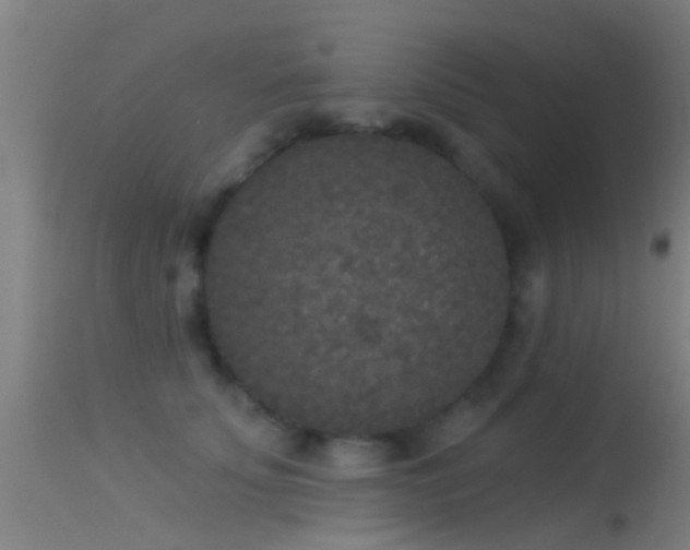 X0000114130707200910151545