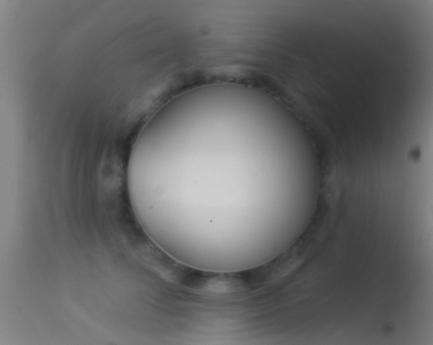 X0000114130708200910151545