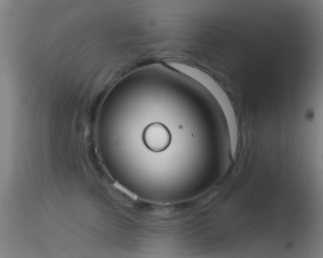 X0000114130709200910151545