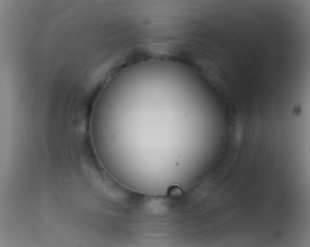 X0000114130710200910151545