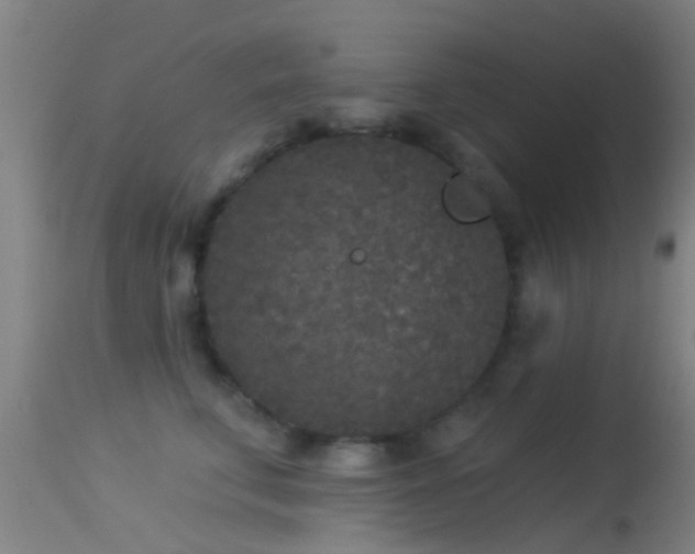 X0000114130711200910151545