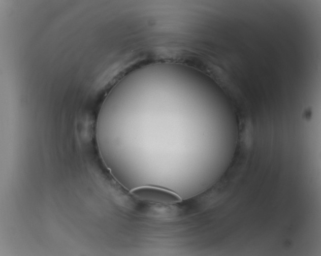 X0000114130712200910151545