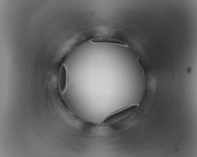 X0000114130716200910151545