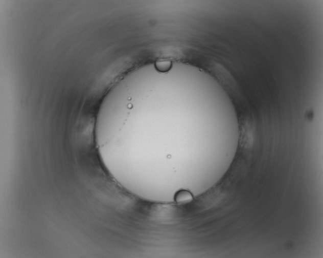 X0000114130717200910151545