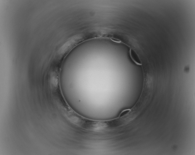 X0000114130719200910151545