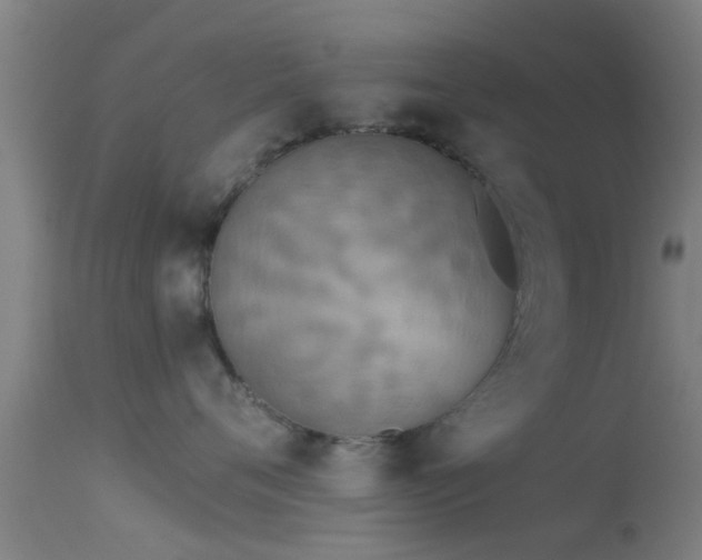 X0000114130720200910151545