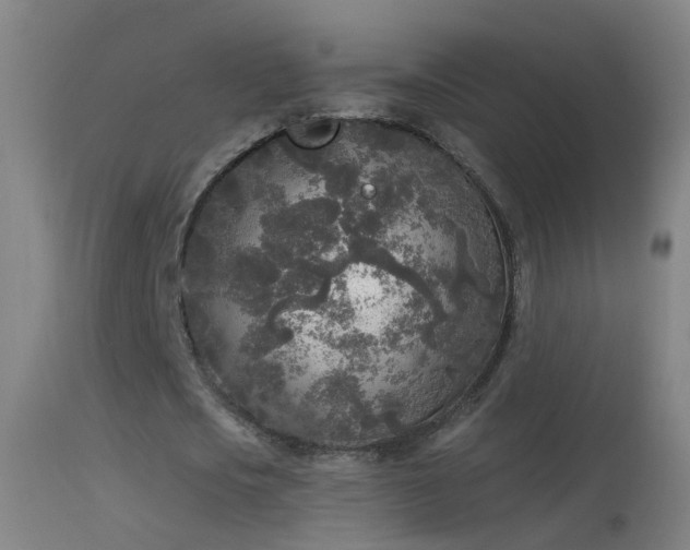 X0000114130721200910151544