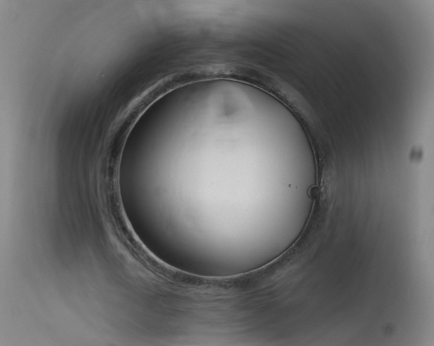 X0000114130722200910151544