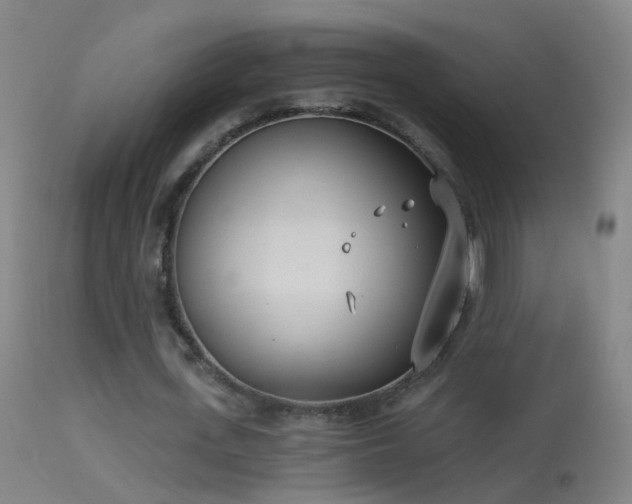 X0000114130723200910151544