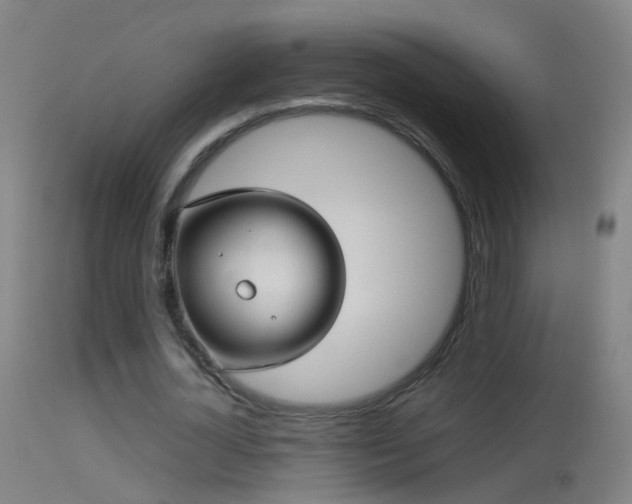 X0000114130724200910151544