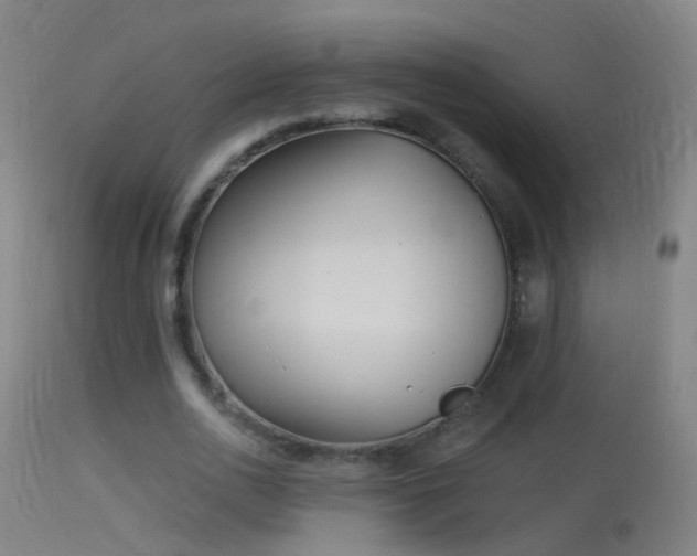 X0000114130726200910151544